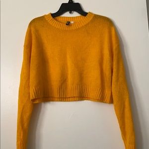 Cropped sweater